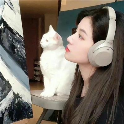 孪生国王与情剑